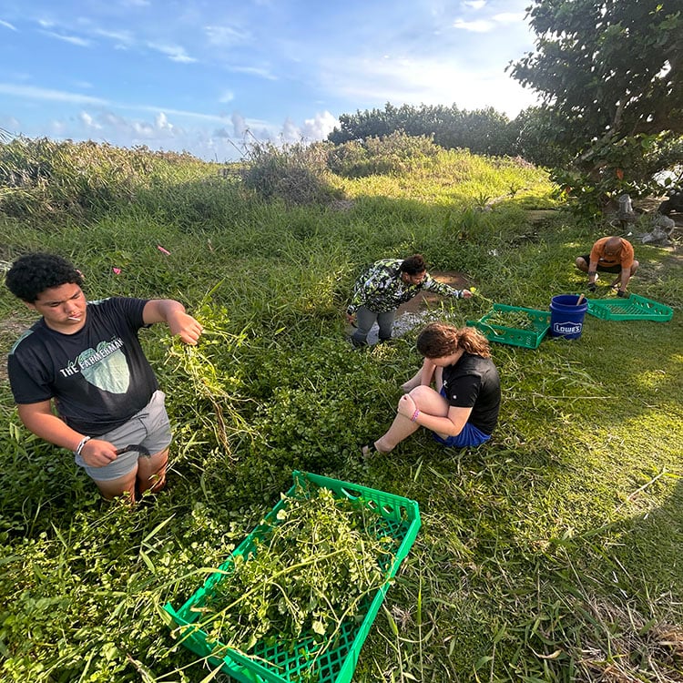 living-pono-plantation-aina-education-two living-pono-plantation-aina-education-two