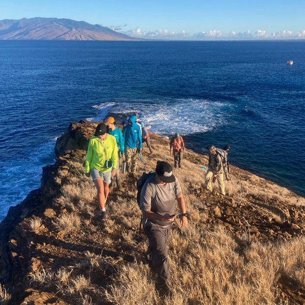 conservation-on-maui-nui-seabird conservation-on-maui-nui-seabird